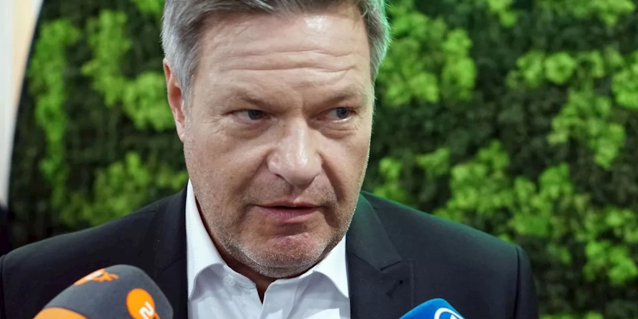 Habeck will Gesetz zu Kraftwerken noch durchbringen