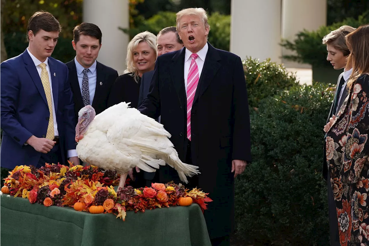 Why do presidents pardon turkeys at the White House every Thanksgiving?