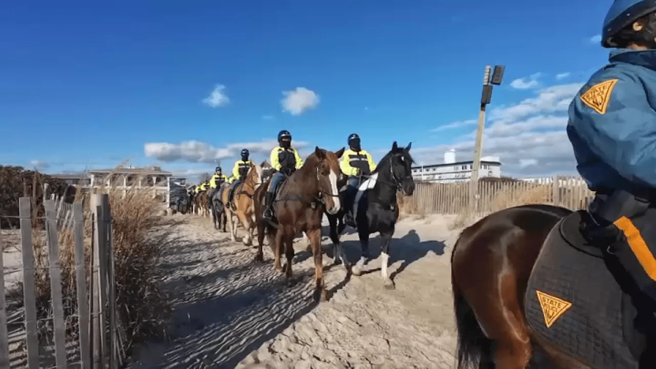 Horses and law enforcement turn heads during training event at the Jersey Shore