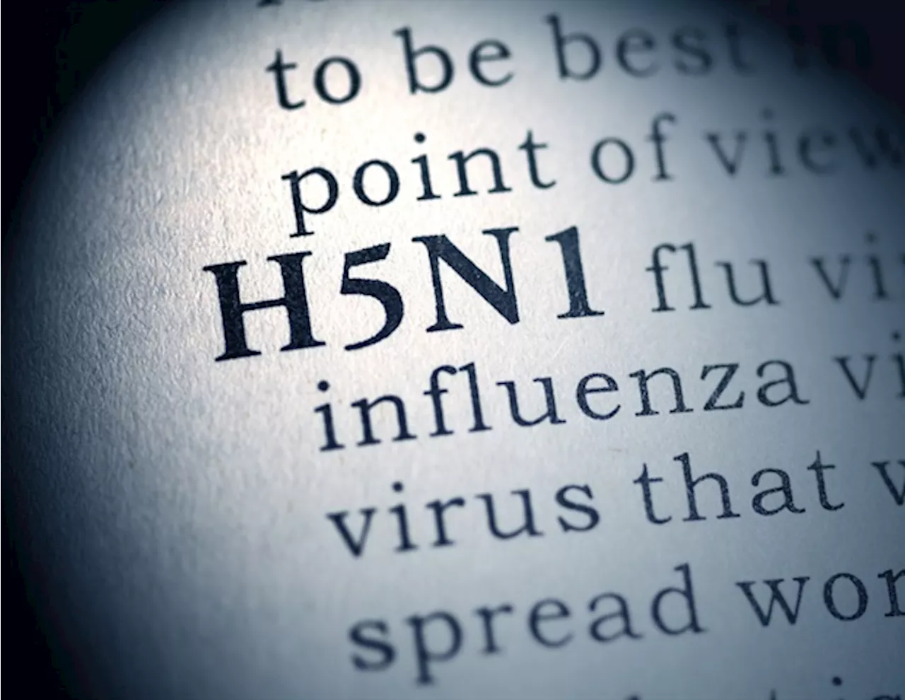 Advanced diagnostic kit developed for detecting highly pathogenic H5N1 avian influenza virus