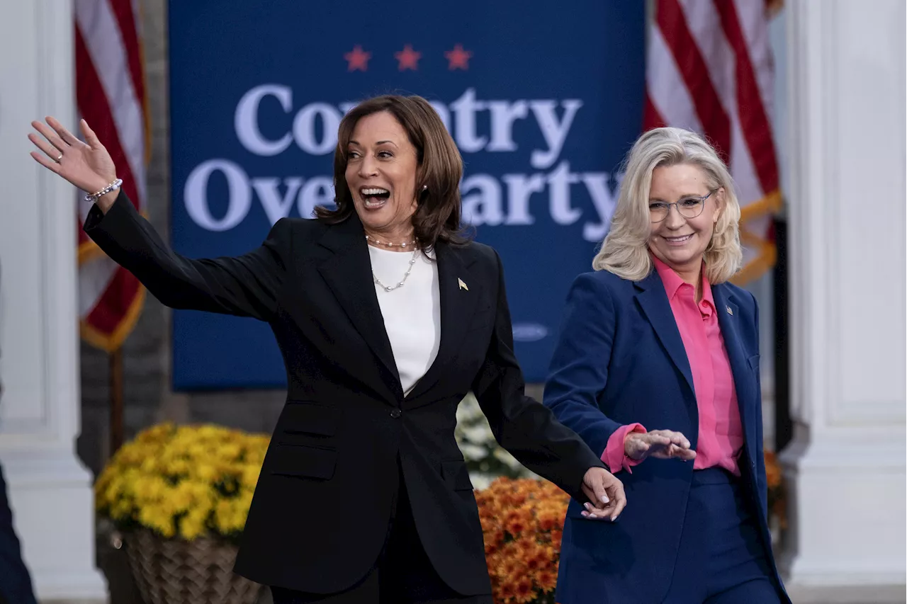 Kamala Harris Campaigning With Liz Cheney Flopped with Key Voter Group