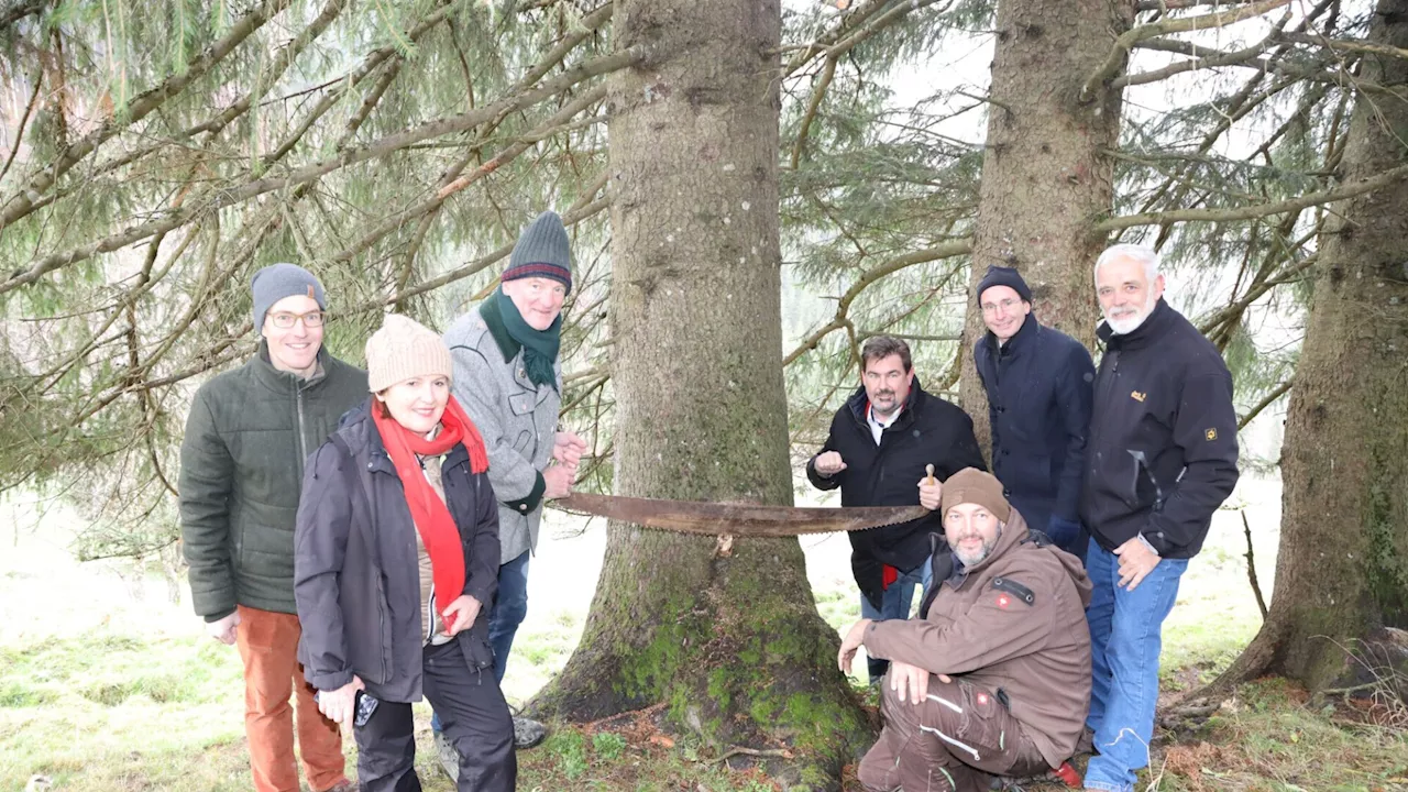 Göstling spendet 35. Christbaum für die Partnergemeinde