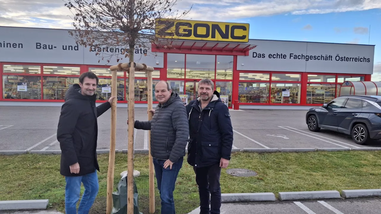 „Hoffen auf Nachahmer“: Am Baumarkt-Areal steht ein kleiner Wald