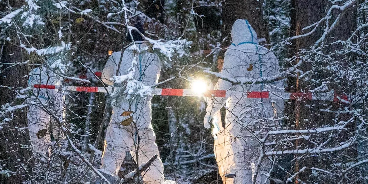 Polizei findet Leiche im Wald: Zusammenhang mit mutma&szlig;lich get&ouml;teter Frau aus Franken?