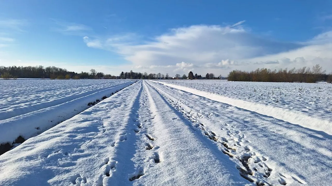 Forse weersomslag: van sneeuw naar 17 graden in twee dagen tijd