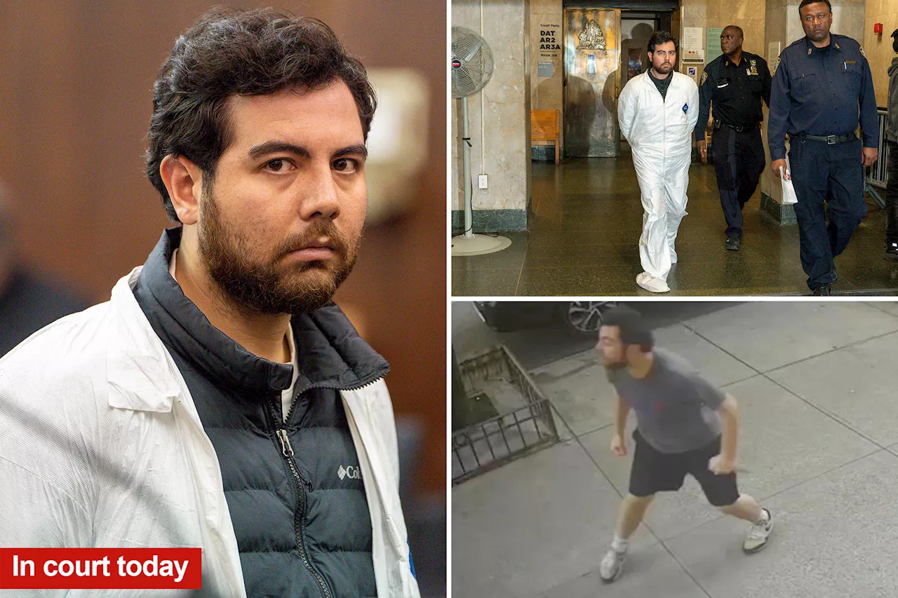 Crazed suspect who allegedly slashed Danish tourist in NYC tries to escape handcuffs, rambles through court hearing