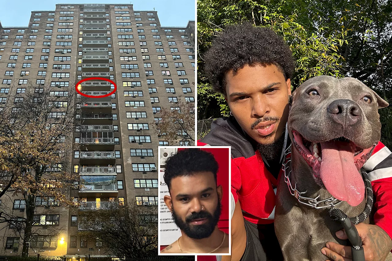 NYC migrant allegedly throws pal's beloved pit bull off 14th-floor balcony — and walks free: 'Murdered my dog for no reason'