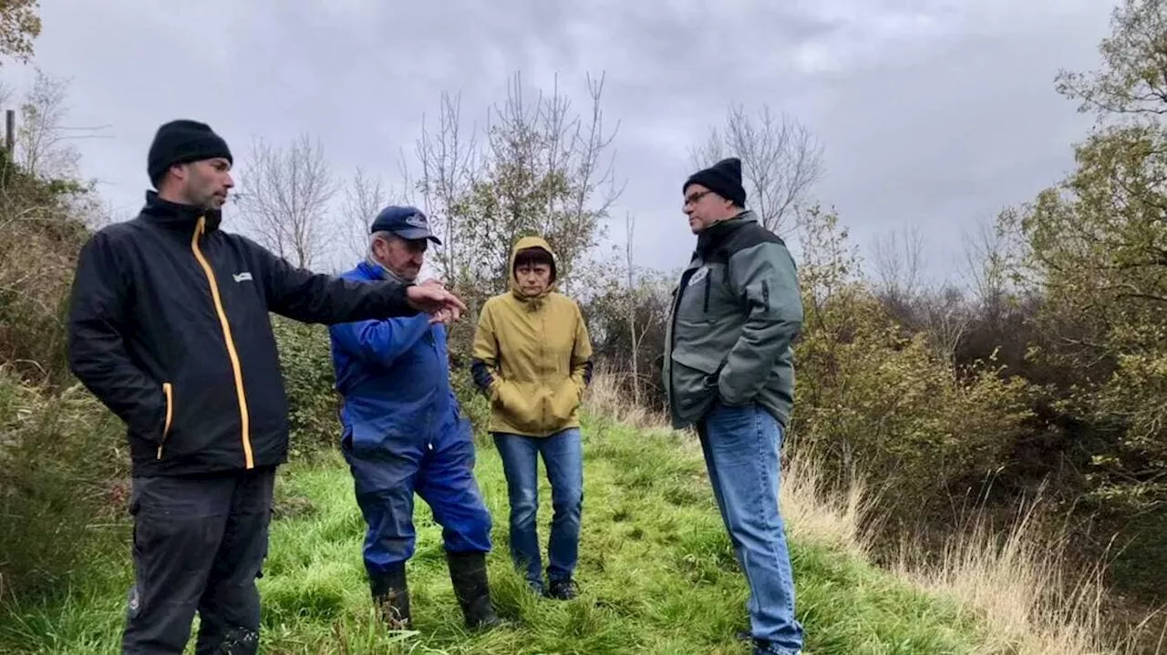 REPORTAGE. Dans l’Aveyron, ces attaques de vautours qui exaspèrent les éleveurs