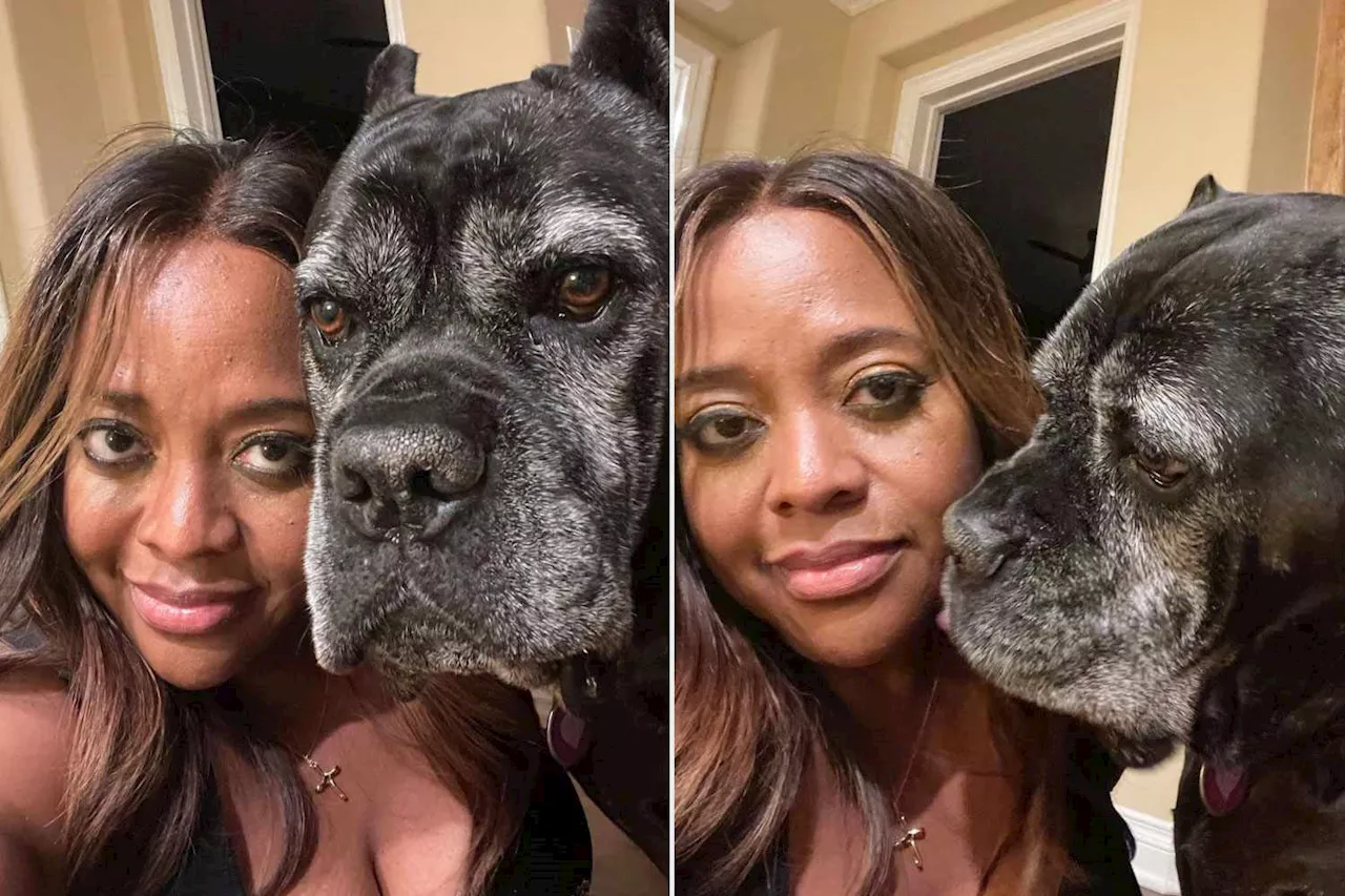 Sherri Shepherd Says Her Beloved 'Very, Very Sick' Dog Lexi Will Soon 'Go to Heaven'