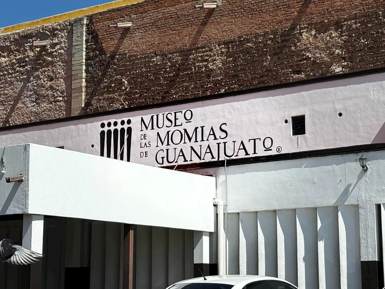 Museo de las Momias en Guanajuato prevé recaudar 40 mdp a finales de año