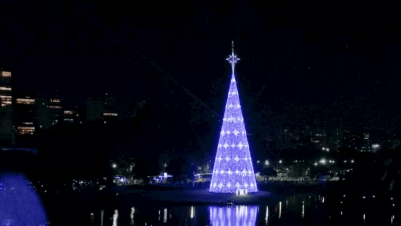 Parque do Ibirapuera divulga a data da inauguração da árvore de Natal de 2024