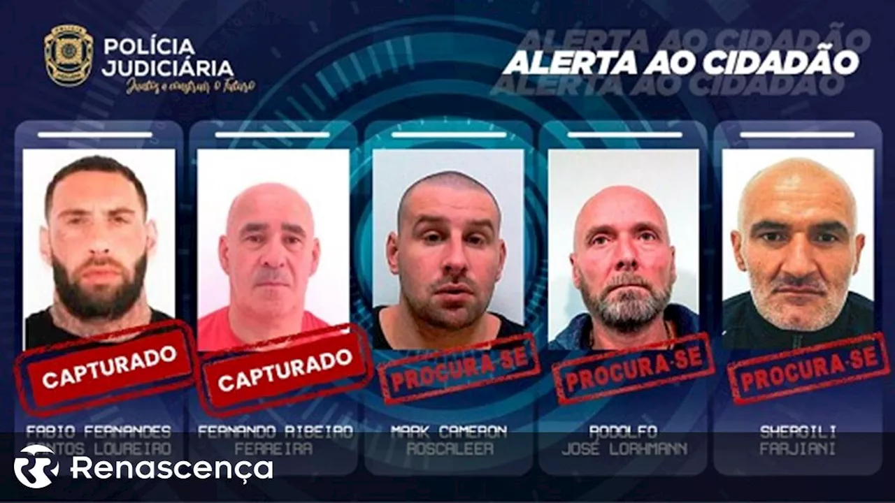 Fugitivo de Vale de Judeus detido pela PJ em Trás-os-Montes