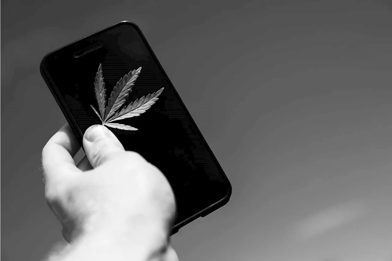 Social Media’s Stance On Weed: Where Cannabis Stands On Every Platform