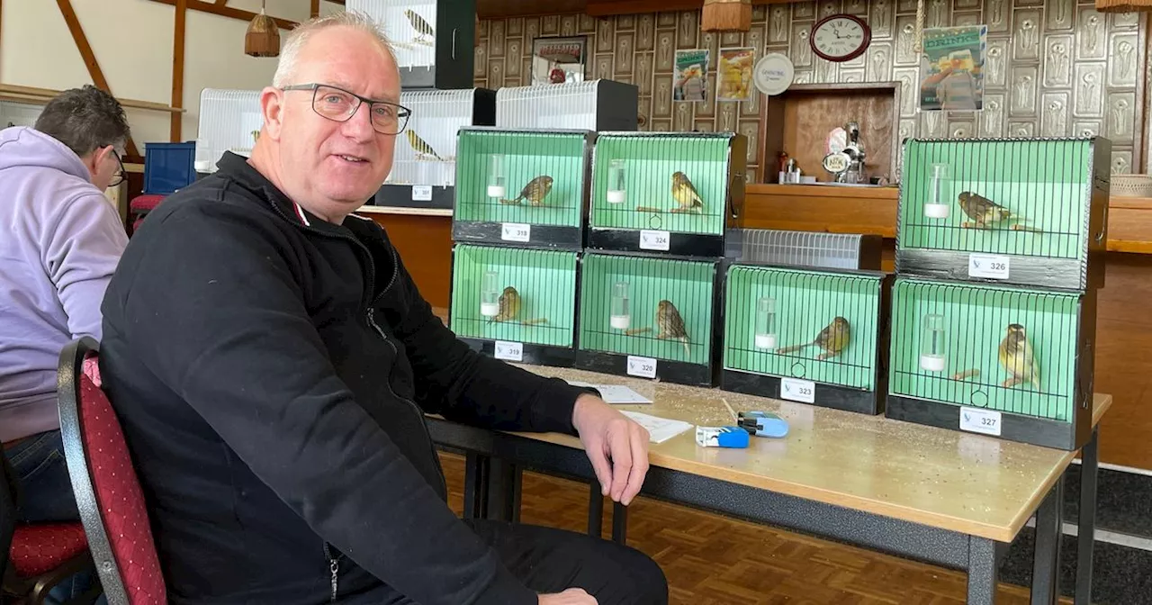 Welke vogel heeft de mooiste snuit en de beste veren? Honderden unieke vogels worden gekeurd