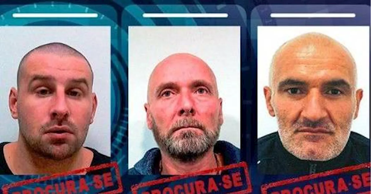 Vale de Judeus: dois fugitivos capturados, três continuam a monte