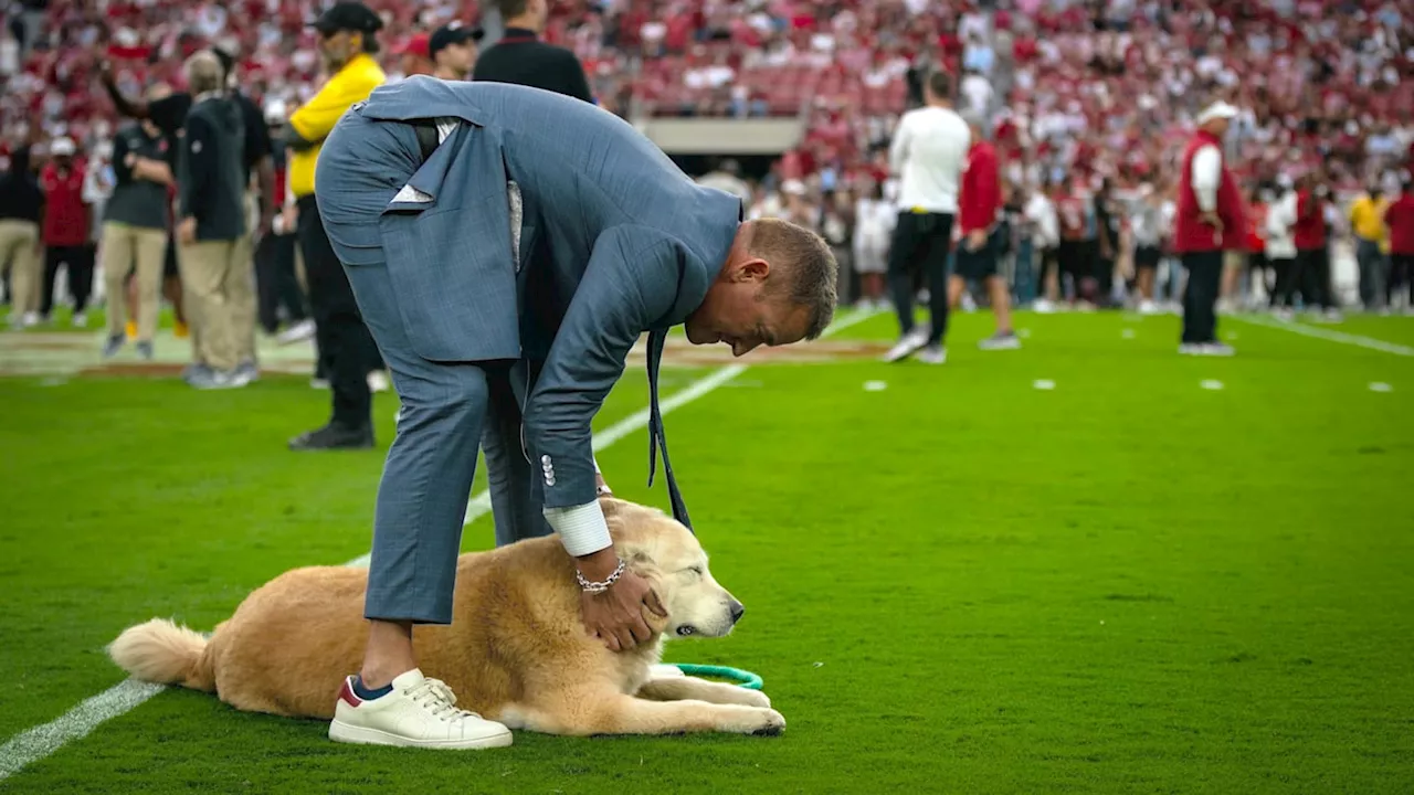 Browns Gave 'TNF' Analyst Kirk Herbstreit Heartwarming Gift to Honor Late Dog Ben