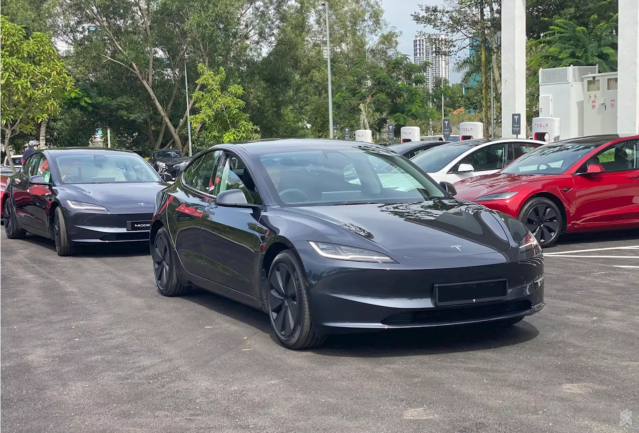 Tesla owners in Malaysia can finally use the Autopark feature