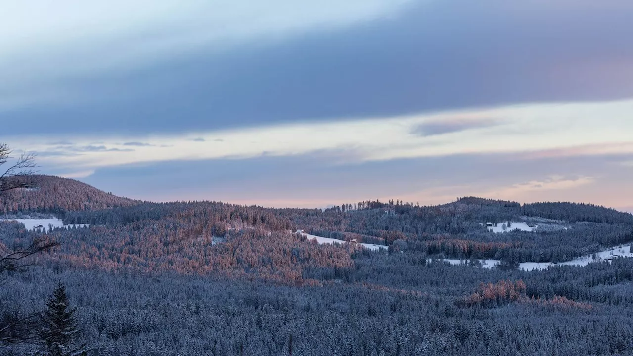 Wettervorhersage: Frühlingshaftes Wetter folgt auf Kälte und Schnee