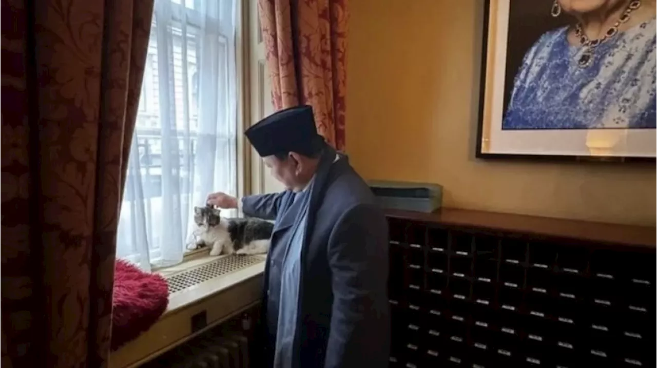 Bongkar Sifat Menyebalkan Kucing ke Wakil PM Inggris, Prabowo 'Gosipin' Bobby Kertanegara?