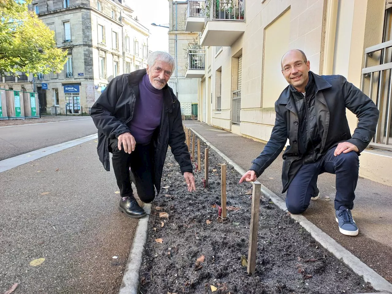 Bordeaux : le retour de la vigne à Saint-Seurin devient concret