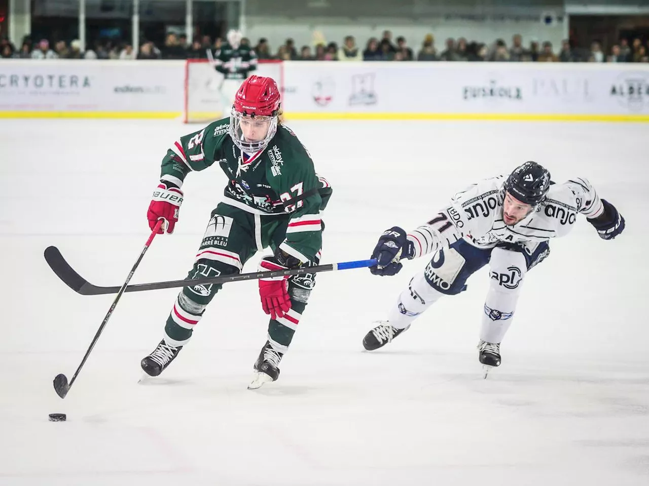 Hockey (Magnus) : l’Hormadi s’incline lourdement à domicile face à Angers