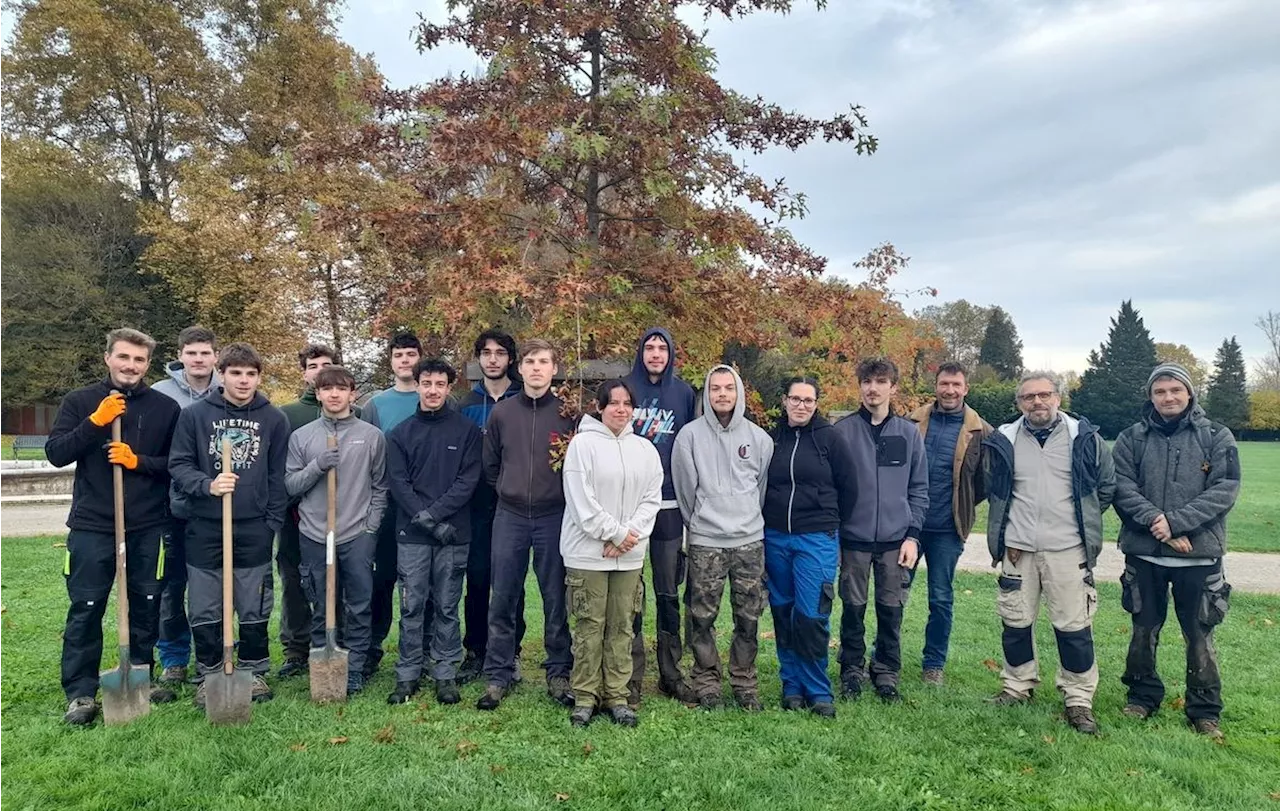 Terrasson-Lavilledieu : des chênes et des savoir-faire, un chantier école au parc de la Vergne