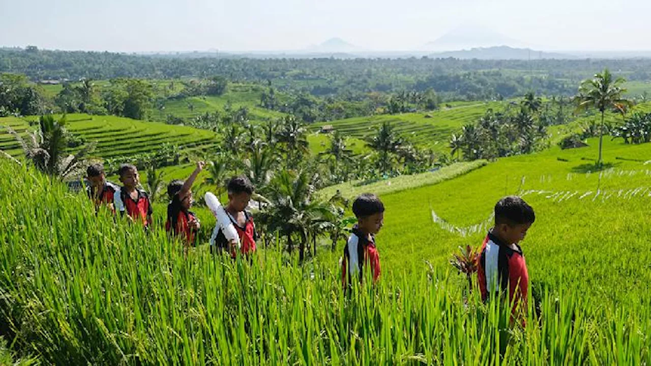 4 Desa Wisata Terbaik di Asia Tenggara, Ada di Indonesia hingga Vietnam