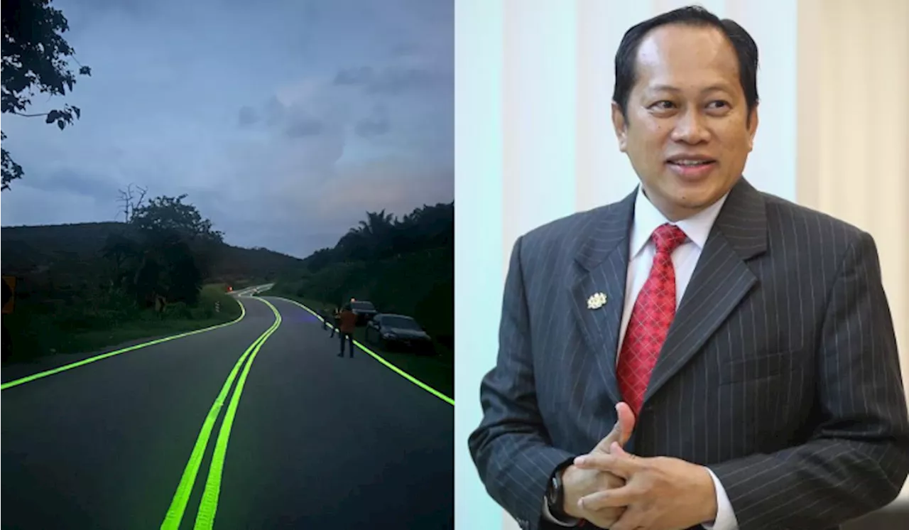 Projek Garis Jalan ‘Glow In The Dark’ Mungkin Tidak Diteruskan, Kata Ahmad Maslan