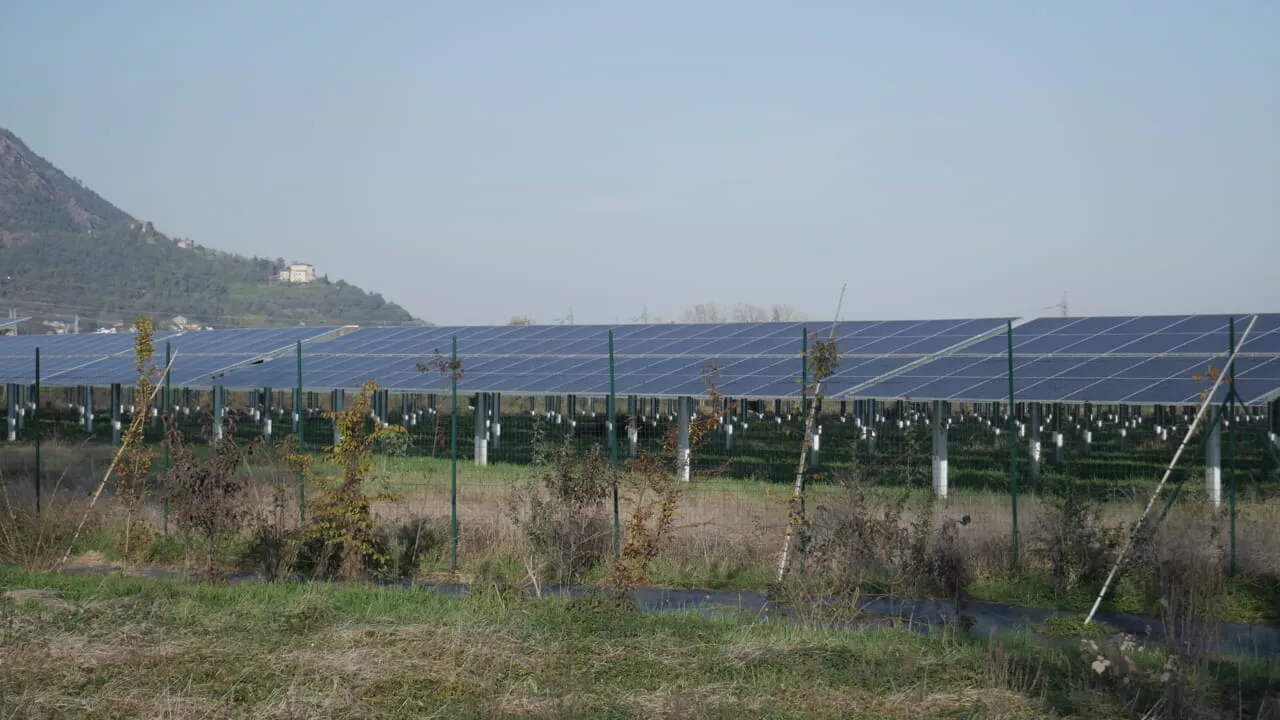 Terreni sottratti al cibo e agricoltori sfrattati: quando l'energia green non è 'pulita'