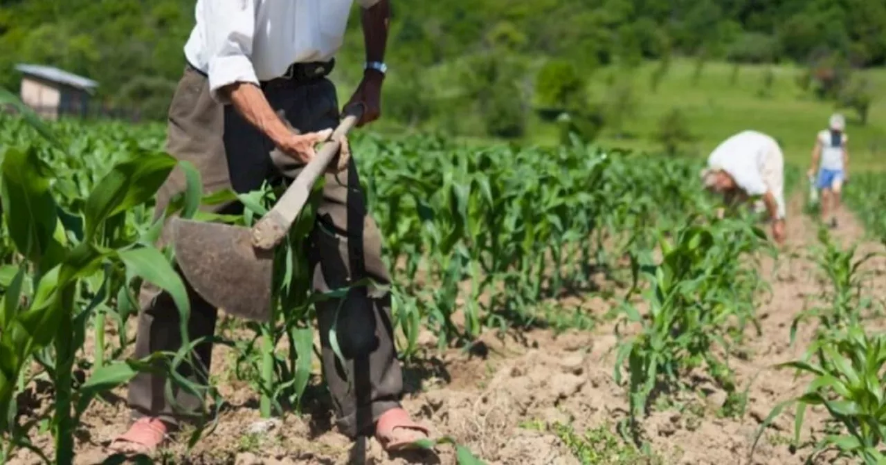 Empieza la cuenta regresiva a reforma política y jurisdicción agraria en el Congreso