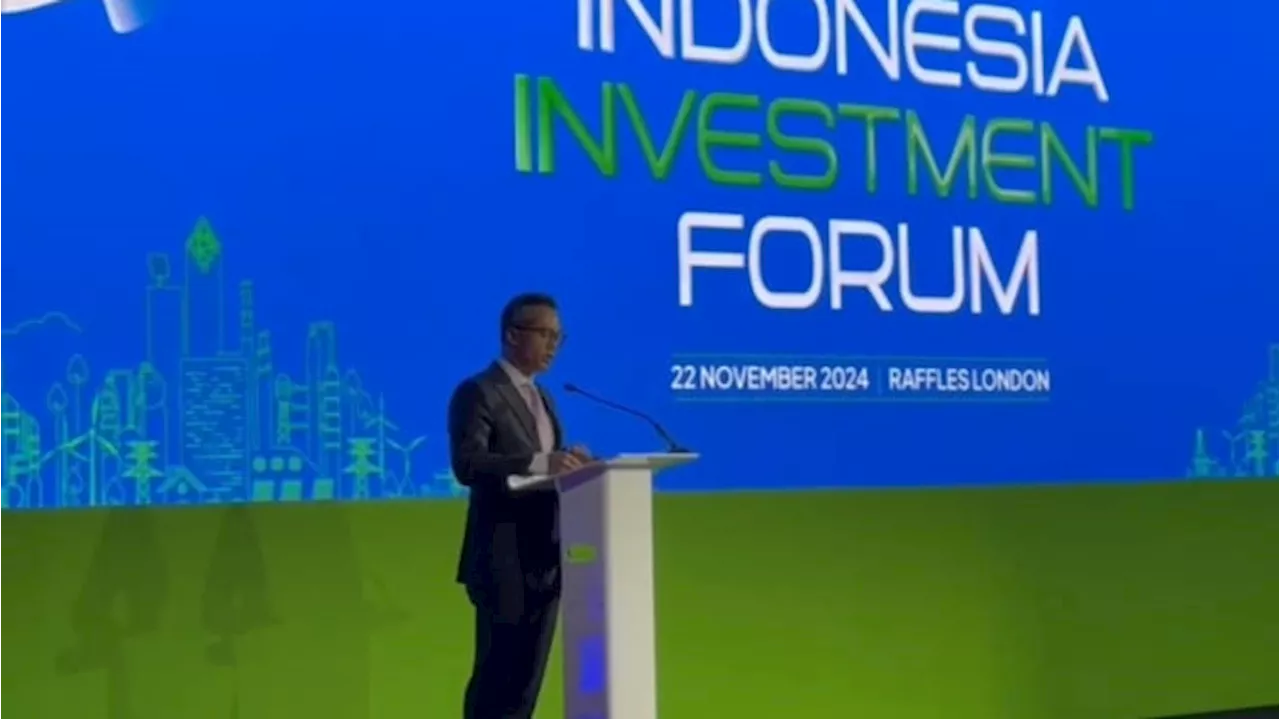 Indonesia Investment Forum London, Ketum Kadin Anindya Bakrie Beberkan Strategi RI Kembangkan Green Financing