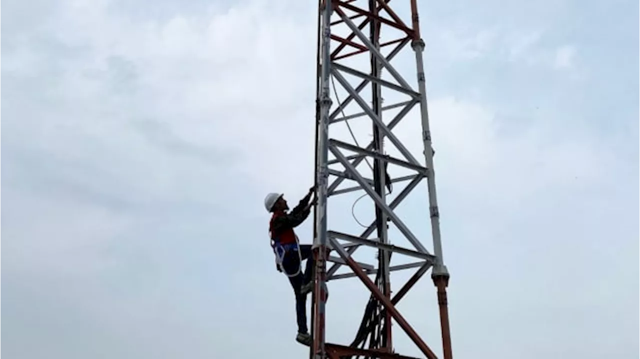 Menciptakan Jaringan Pintar yang Belajar Sendiri