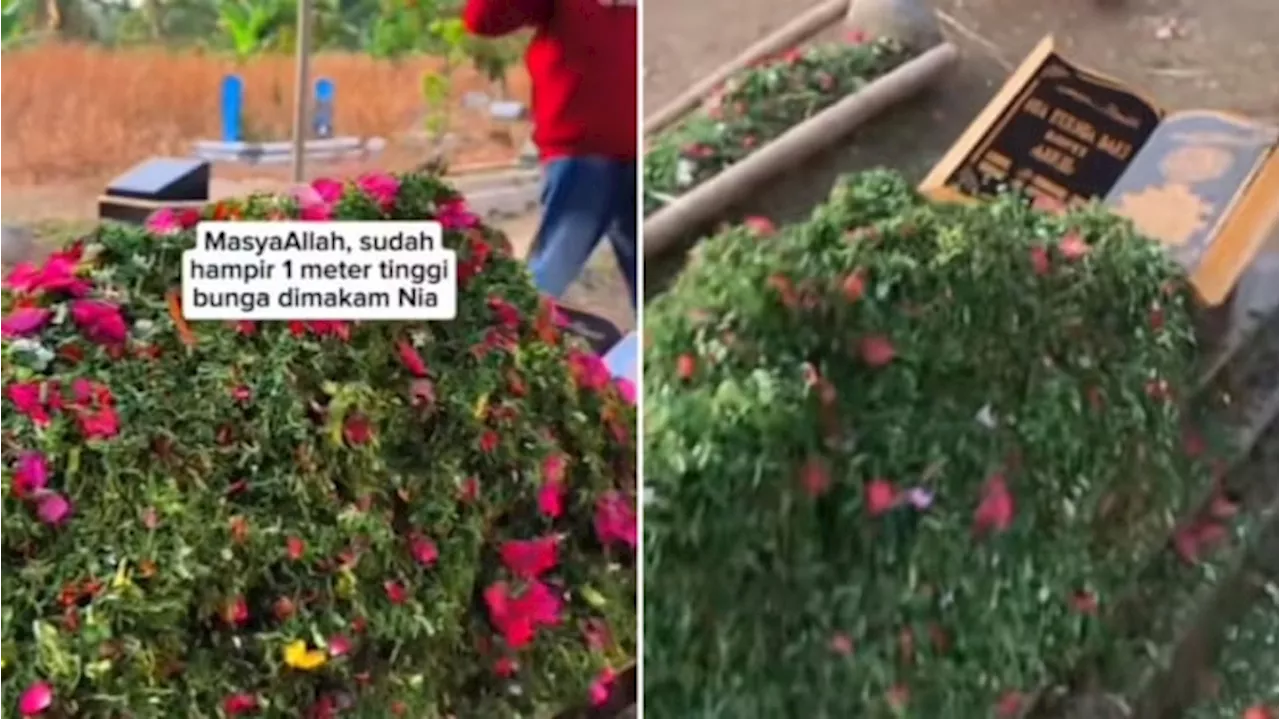 Viral Makam Nia Kurnia Sari Penuh Tumpukan Bunga dan Daun Pandan, Netizen Curiga karena....