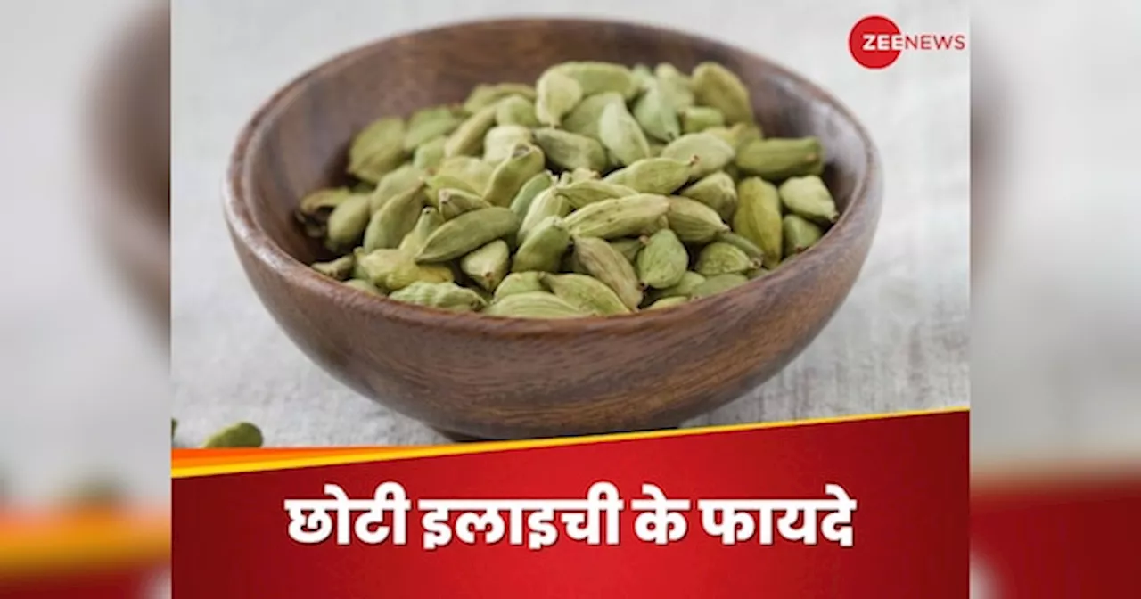 Cardamom: ताजी सांसों के लिए ही नहीं, इन वजहों से भी चबाएं छोटी इलायची, मिलेंगे जबरदस्त फायदे