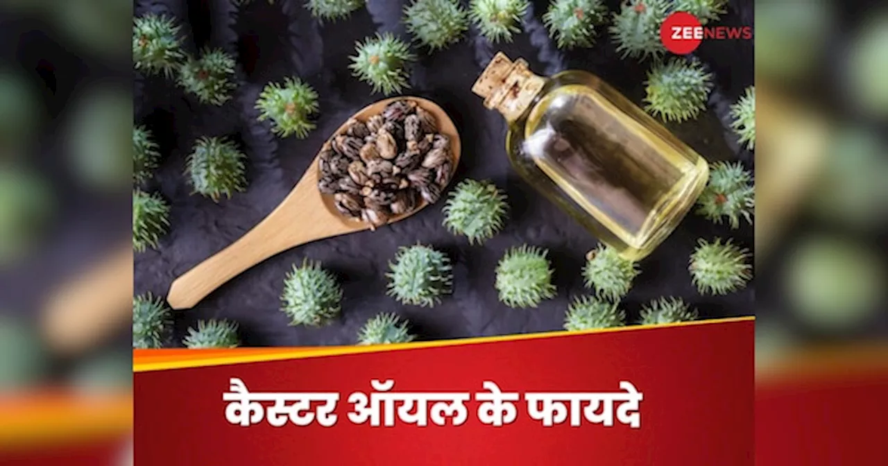 Castor Oil: बालों के लिए ही नहीं, शरीर के इन हिस्सों के लिए भी फायदेमंद है कैस्टर ऑयल, जानिए इस्तेमाल के तरीके