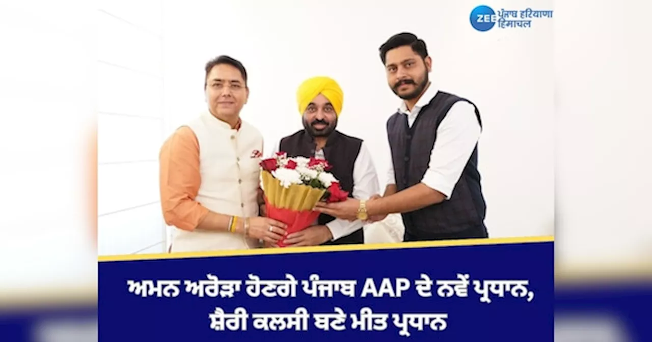 Punjab AAP New President: ਅਮਨ ਅਰੋੜਾ ਬਣੇ ਪੰਜਾਬ AAP ਦੇ ਨਵੇਂ ਪ੍ਰਧਾਨ, ਸ਼ੈਰੀ ਕਲਸੀ ਹੋਣਗੇ ਮੀਤ ਪ੍ਰਧਾਨ