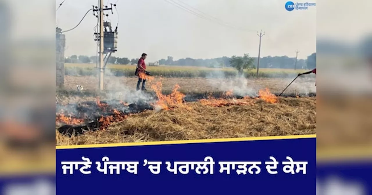 Punjab Stubble Burning Case: ਪੰਜਾਬ ਚ ਪਰਾਲੀ ਸਾੜਨ ਦੇ ਮਾਮਲੇ 10 ਹਜ਼ਾਰ ਨੂੰ ਪਾਰ, ਸਭ ਤੋਂ ਵੱਧ 42 ਕੇਸ ਫਾਜ਼ਿਲਕਾ ਚ