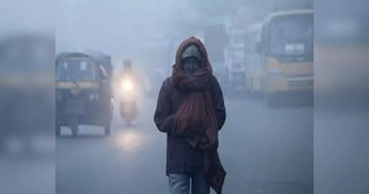 Rajasthan Weather Update: राजस्थान में कड़ाके की सर्दी से कांपे लोग! माउंट आबू में 5 डिग्री तक लुढ़का पारा