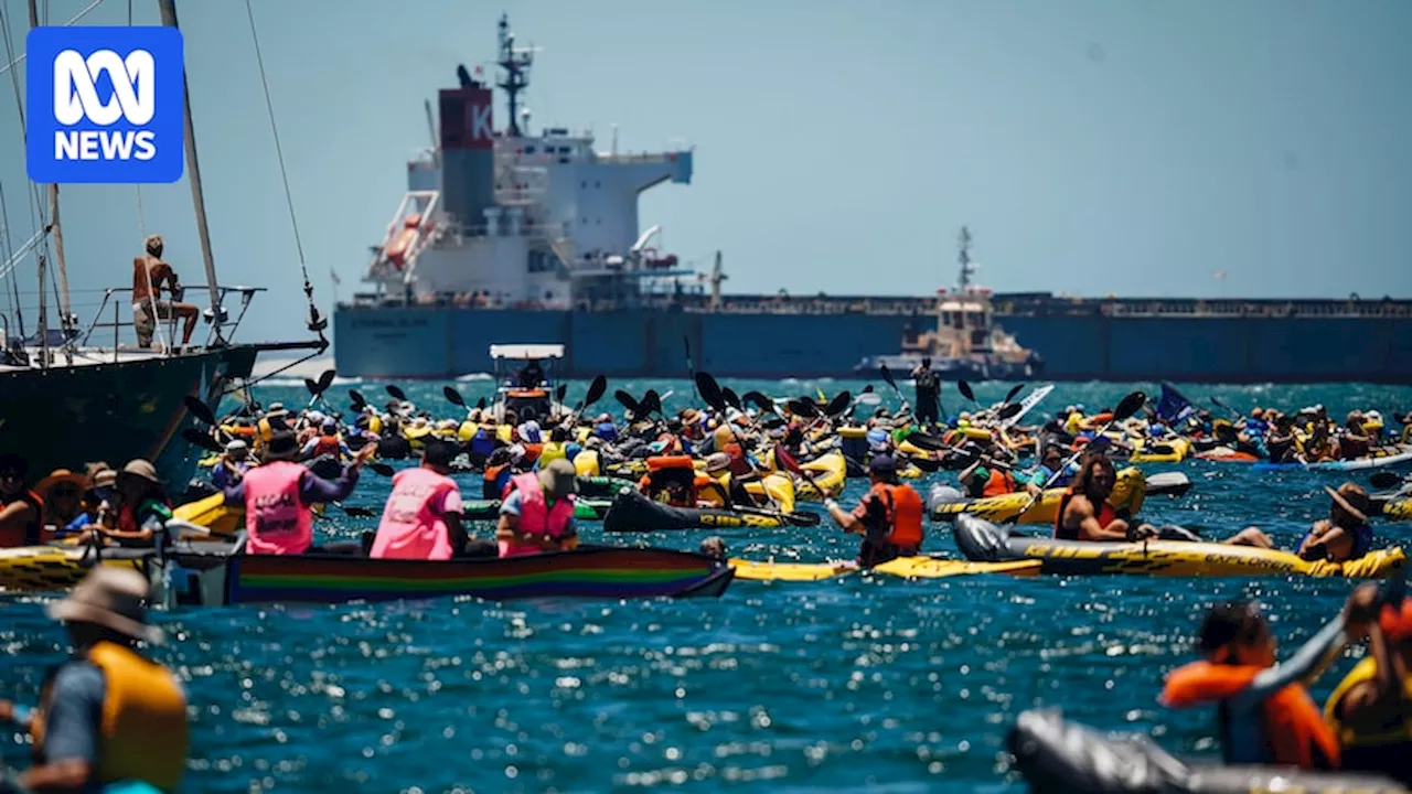 Arrests made as Rising Tide climate change protesters take to Newcastle Harbour over coal exports