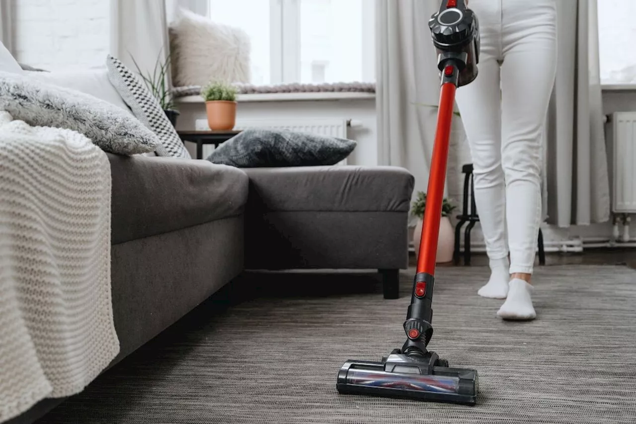 Black Friday 2024 : quel aspirateur en promo choisir selon votre budget ?