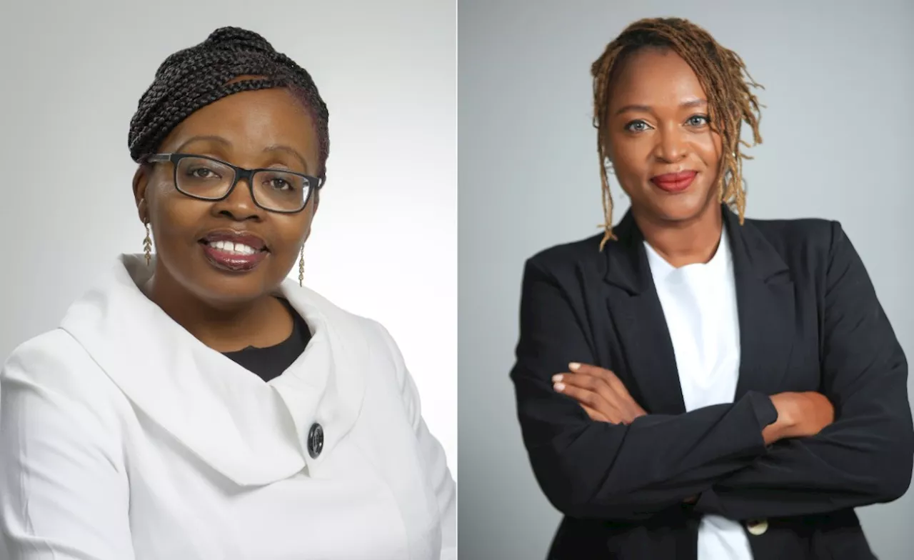 Africa: Unveiling Africa's Greatest Hidden Assets - The Rise of Female Entrepreneurs