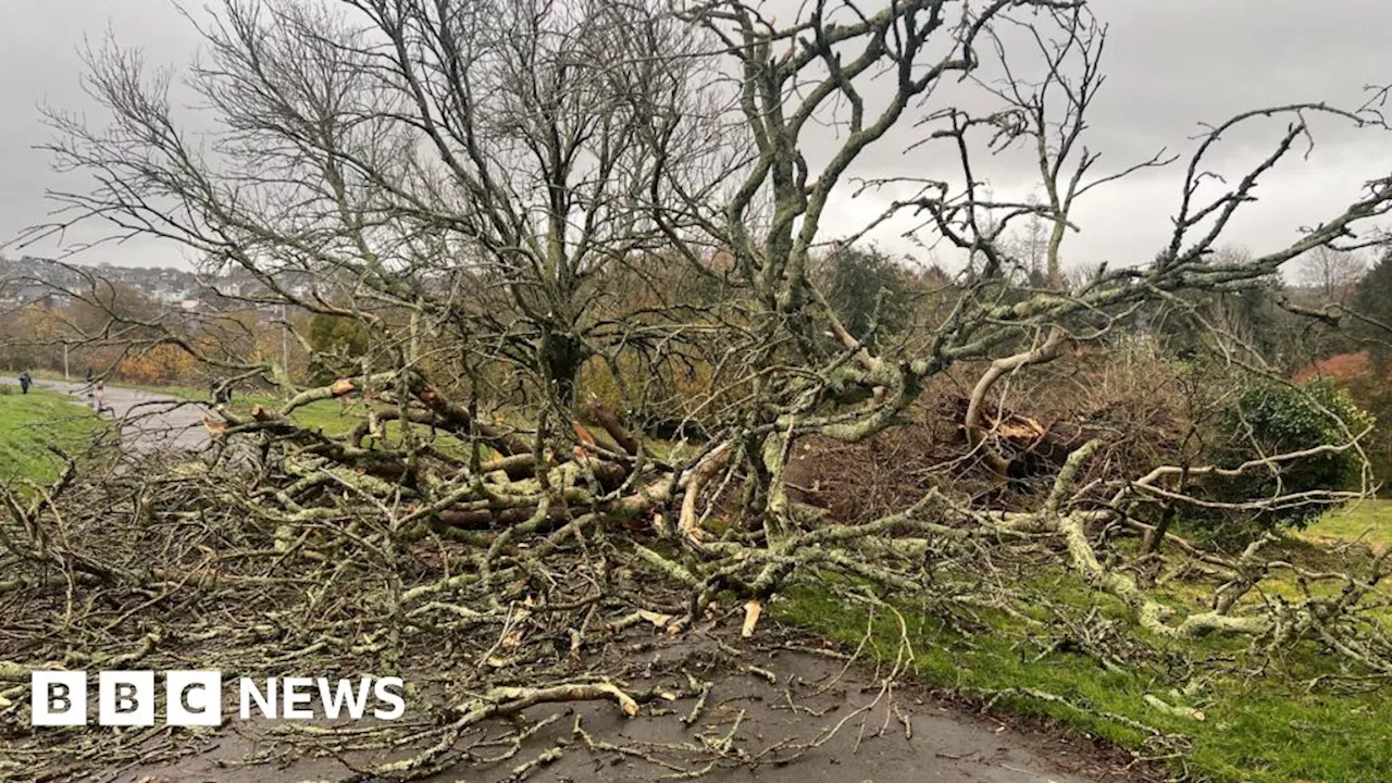 Devon and Cornwall Storm Bert wind and rain warning