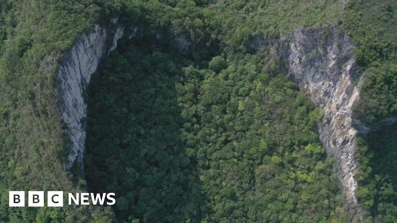 China's sinkholes: Tourist boom threatens ancient forests