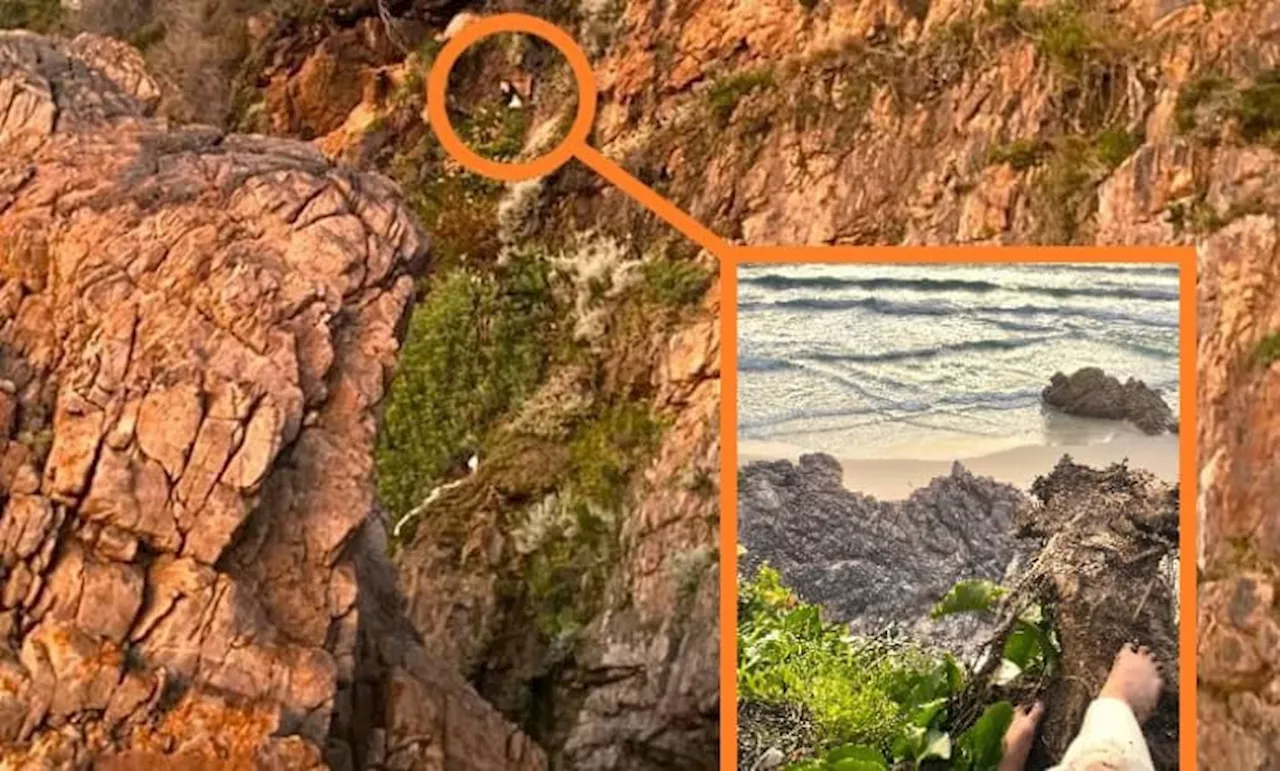 Model rescued from Western Cape cliff after baboon steals her bag