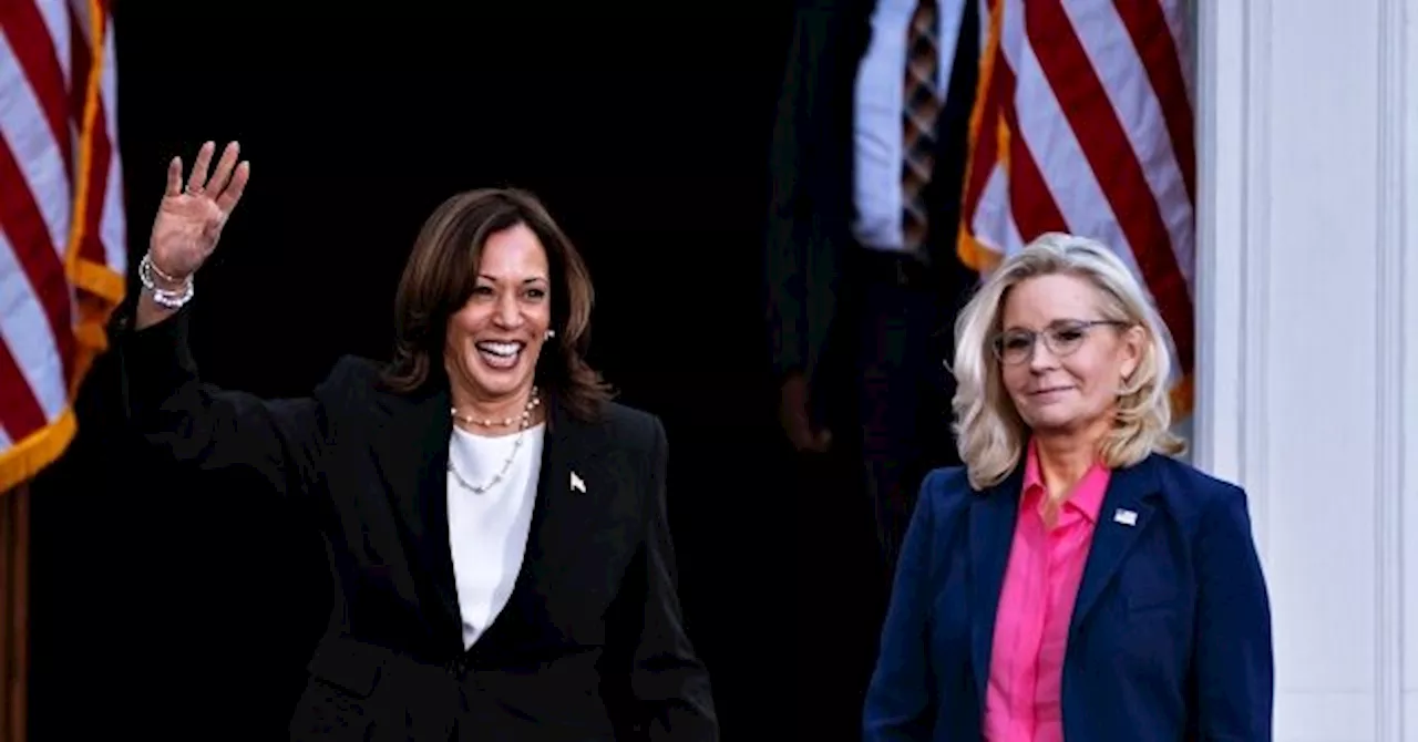 Election Data: Liz Cheney Hurt Kamala Harris with Swing Voters in Rust Belt