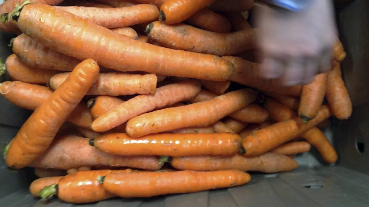 Whole Foods carrots pulled in expanded recall for E. coli: CFIA