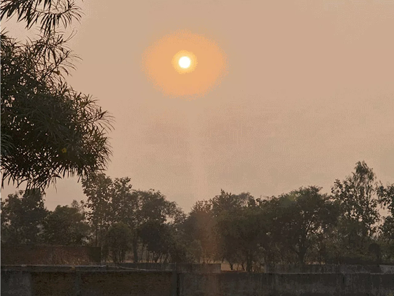 छत्तीसगढ़ में कड़ाके की ठंड से 2 लोगों की मौत: सरगुजा समेत 5 जिलों में शीतलहर का अलर्ट, मैनपाट 6 डिग्री के ...