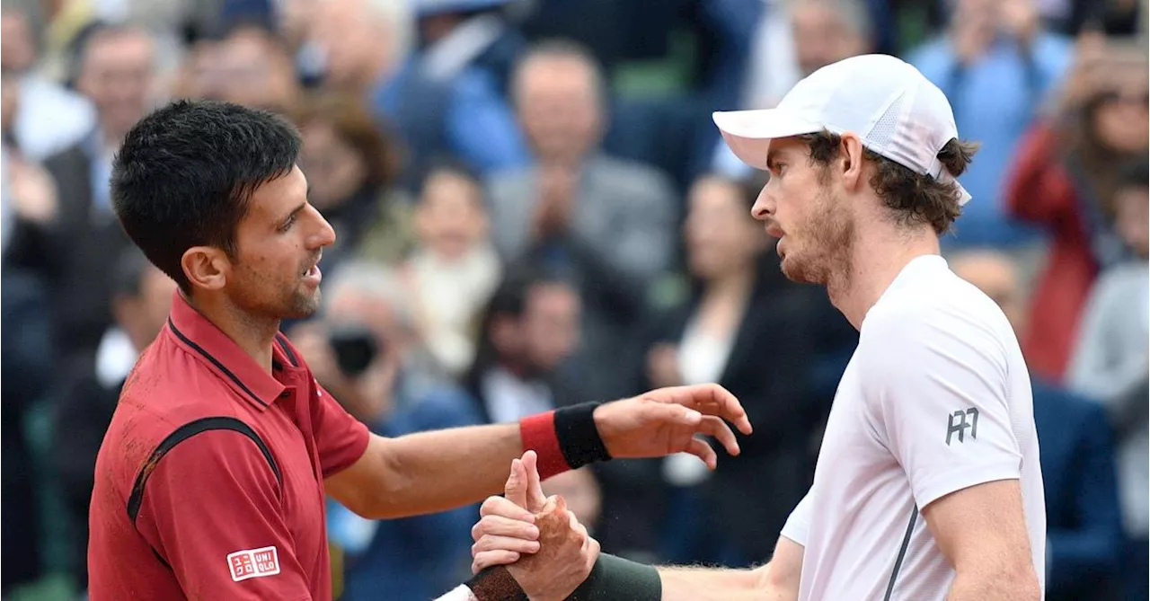 Andy Murray wird Trainer von Novak Djokovic