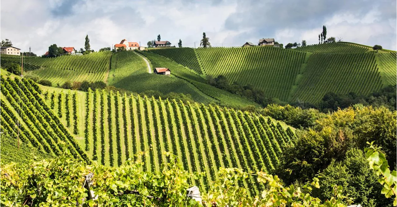 Das steirische Wesen ist ausgebleicht