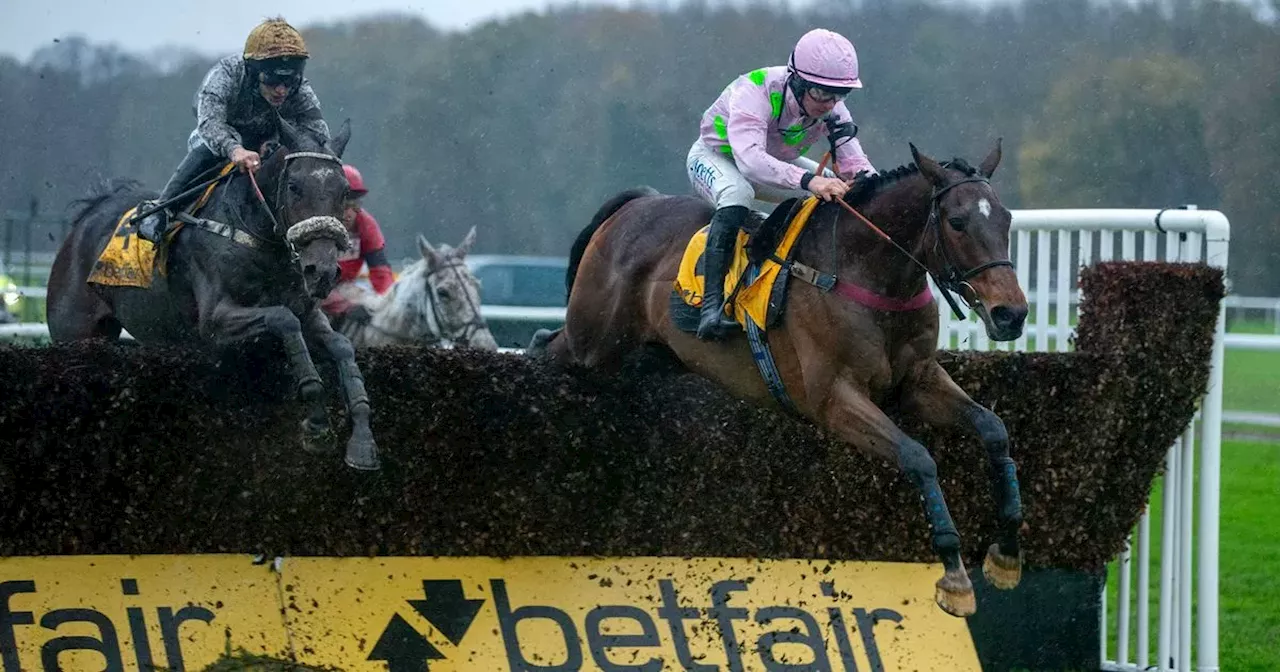 Royale Pagaille wins the Betfair Chase again at Haydock Park